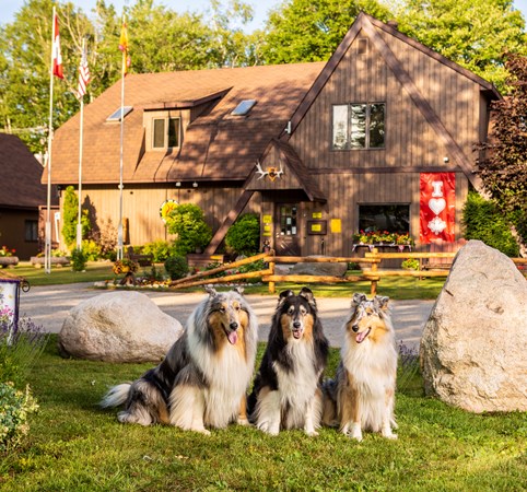 Sault Ste. Marie KOA Holiday