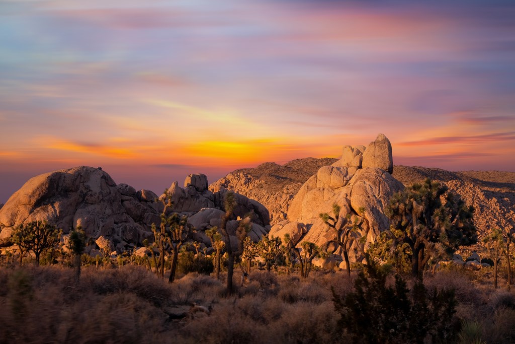 Sunset over Joshua Tree National Park.