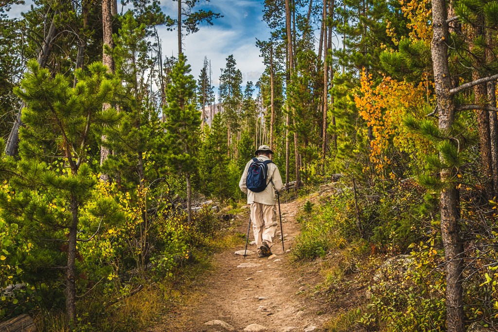 Man hiking in Colorado forest in autumn.
